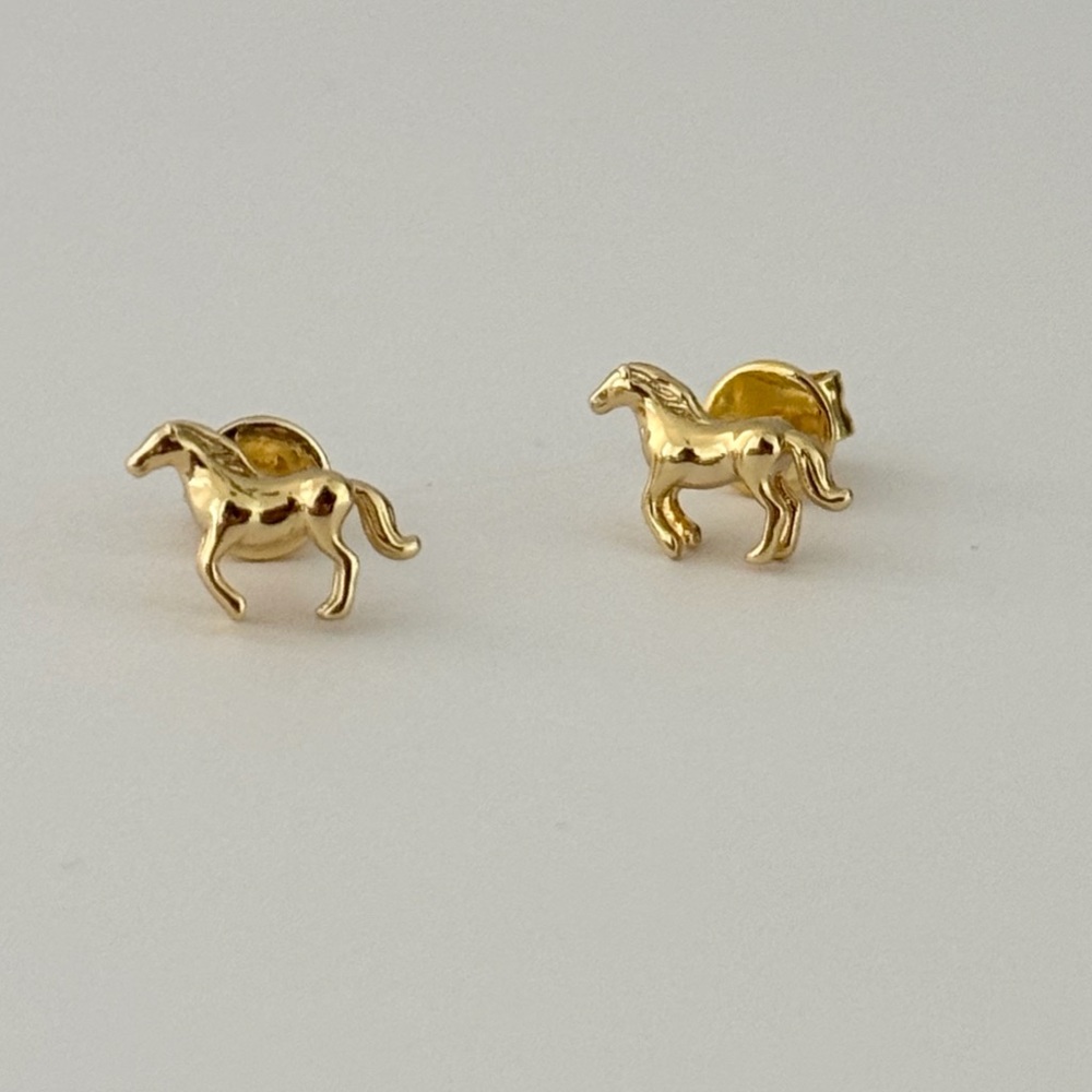 Wild Stud Earrings - Picture 2 of 3